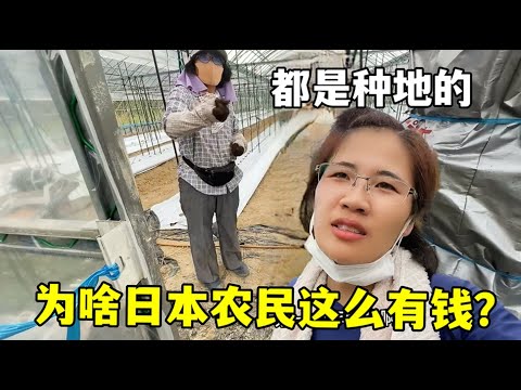 艺术与创意,探索自我认,同之路,彩5彩票,彩票平台,彩票预测,在线投注,彩票分析